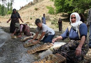 Kriskonca tokaç vurdu, yün yıkadı